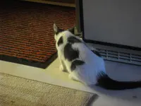 IMGP8094.webp