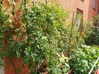 20190825_120004_resized.webp