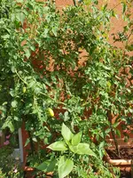20190825_115710_resized.webp