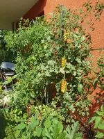 20190825_115749_resized(1).webp