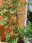 20190825_115731_resized(1).jpg