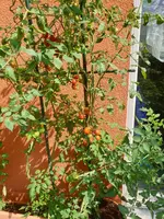 20190825_115731_resized(1).webp