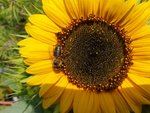 20190825_115626_resized(1).jpg