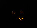 pumkins at night.JPG