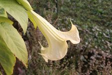 IMG_2745(1).webp
