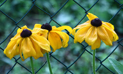 IMG_2751(1).webp