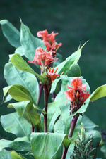 IMG_2753(1).webp