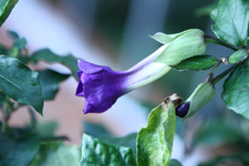 IMG_2754(1).webp