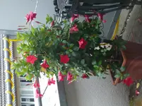 P1080720.webp