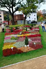 comp_IMG_1475.webp