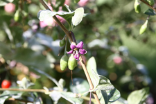 IMG_2563(1).webp