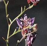 IMG_2568(1).webp