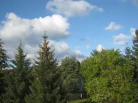 002.webp
