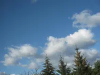 003.webp