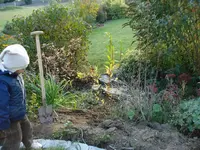 Flammenweide.webp