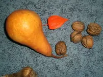kleine Ernte.webp