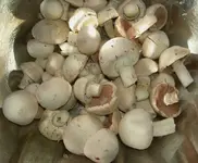 Wiesenchampignons v.webp