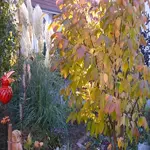 P1090329_600_600.webp