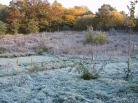 S4300003.webp