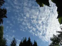 Himmlisch  1.webp