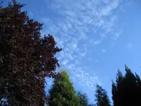 Himmlisch  3.webp