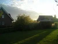 Weide 002.webp