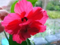 SA500103.webp