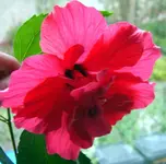 SA500104.webp