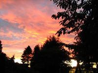 IMG_2872.webp
