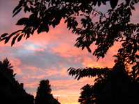 IMG_2873.webp