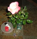 IMG_2875.webp