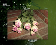 -2009-_1.webp