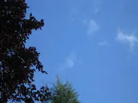 Himmlisch  1.webp