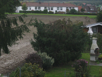 IMG_2876.webp