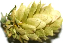 ab 81 c 001.webp