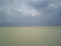 SP_A1644.webp