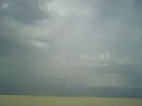 SP_A1638.webp
