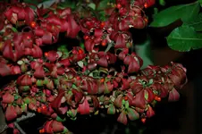 DSC_3069.webp