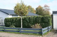 erster Schnitt fertig1_klein.webp