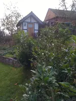 Hecke Strasse 20091018 005.webp