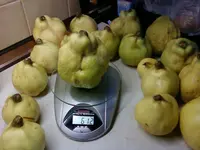Foto0138.webp