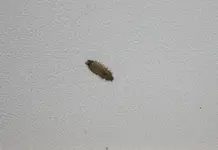 IMG_2708 Kopie.webp