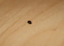 IMG_2717 Kopie.webp