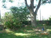 CIMG0883.webp