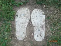 CIMG2160.webp