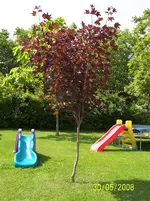 100_8148.webp