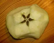 angebissener Apfel v.webp