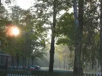 IMG_1012.webp