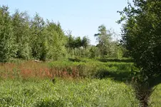 IMG_0545.webp