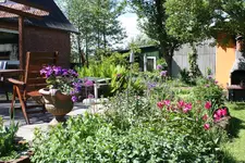 IMG_0559.webp